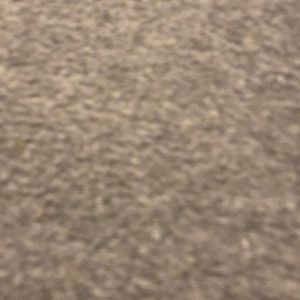 Meet your Posher, Shauna